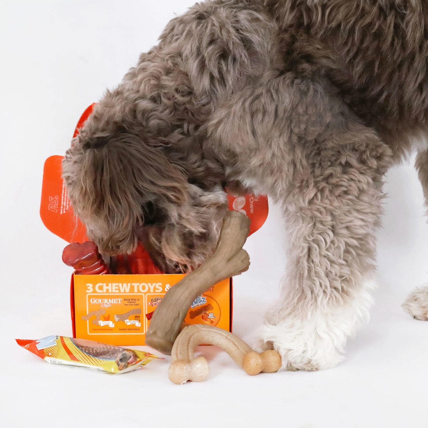 the Box - Chew Toys & Treat Dog Gift Box Variety Large (4 Count)