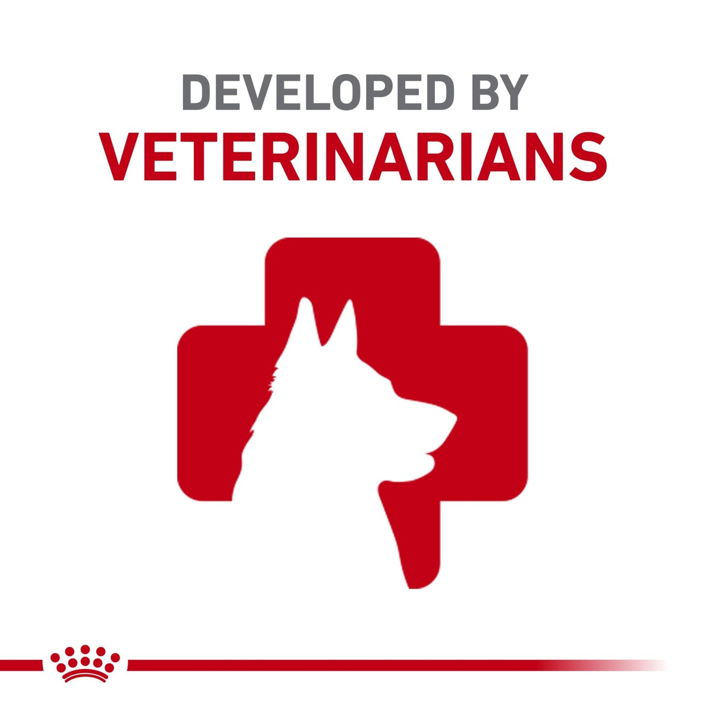 Royal Canin Small Breed Adult Dry Dog Food, 2.5 Pounds. Bag