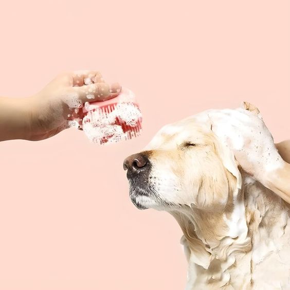 Soft Silicone Pet Brush
