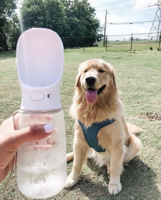 Portable Pet Water Bottle
