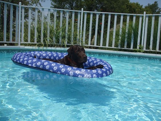 Portable Dog Pool Float