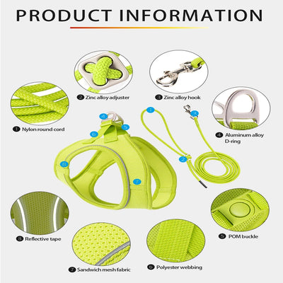 2-In-1 Harness & Leash Set