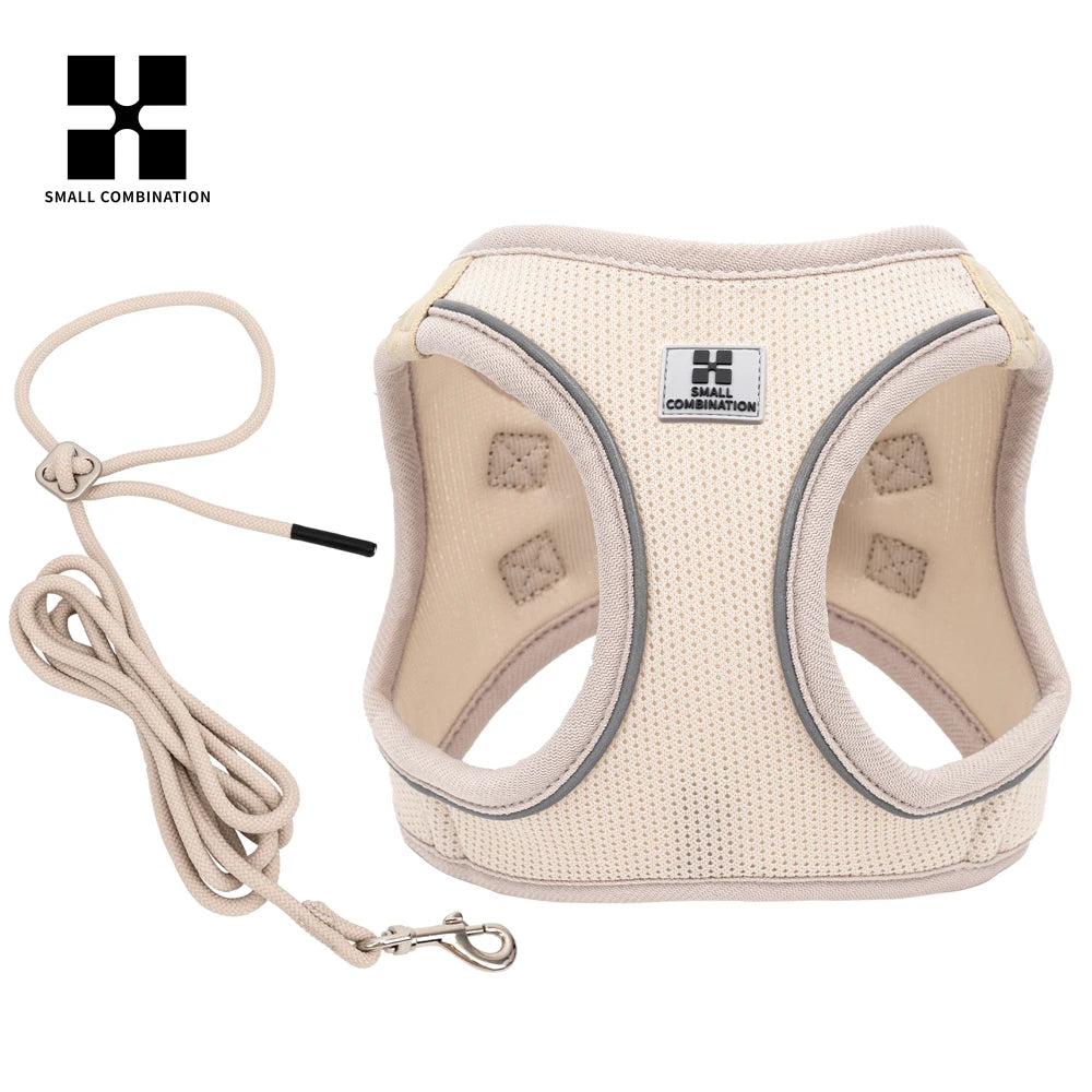 2-In-1 Harness & Leash Set