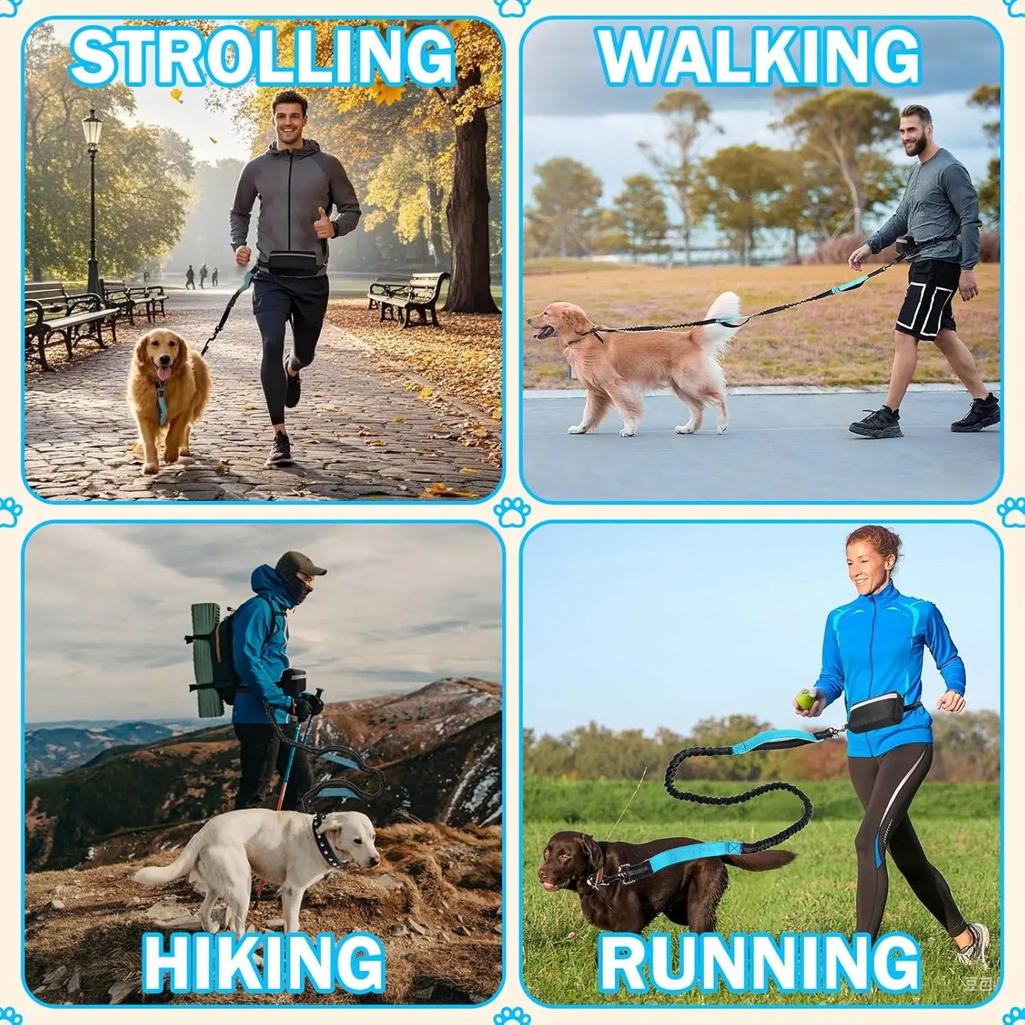 Hands Free Dog Running Leash