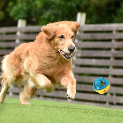 Chew Ball for Dogs