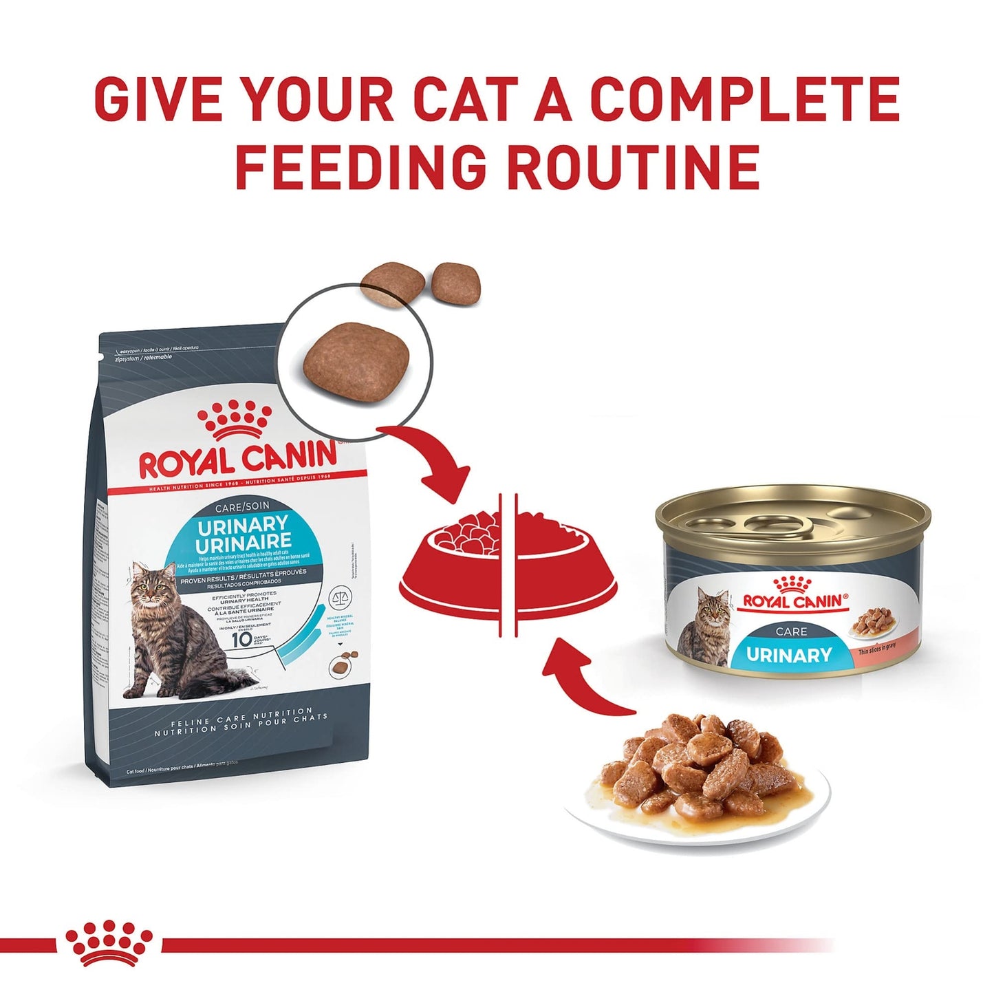 Royal Canin Feline Urinary Care Adult Wet Cat Food 3 Ounce Pack of 6