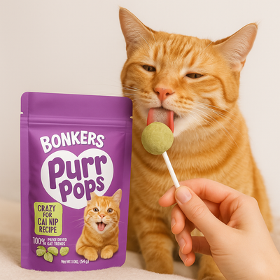 PurrPops – The Catnip Treat Every Kitty Craves