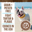 Fresh Kisses Small Dog Treats, Real Mint Flavor Dental Chews, 23 Oz Box (36 Count)