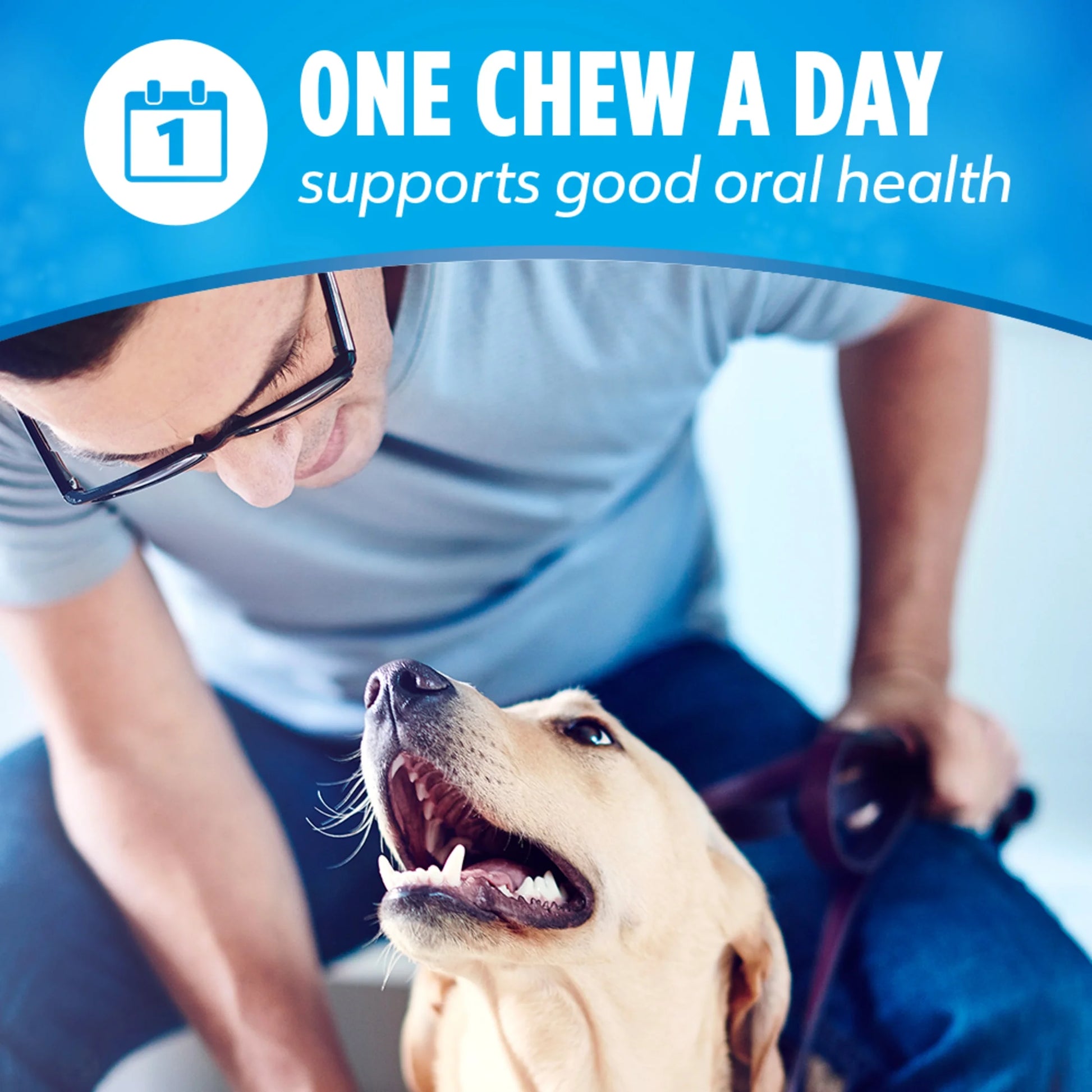 Purina  Daily Oral Care Mini & Toy Dog Treats with Chicken Chews, 6.8 Oz Pouches, 24 Count (4 Pack)