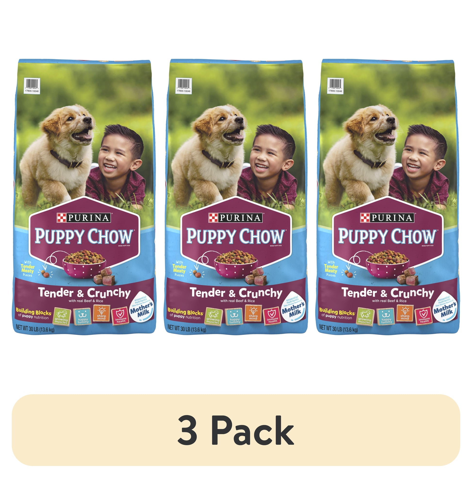 (3 Pack)  Puppy Chow Dry Dog Food, Tender & Crunchy High Protein Real Beef & Rice, 30 Lb Bag