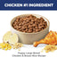 Puppy, Large Breed Puppy Premium Nutrition, Dry Dog Food, Chicken & Brown Rice, 15.5 Lb Bag