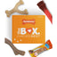 the Box - Chew Toys & Treat Dog Gift Box Variety Large (4 Count)