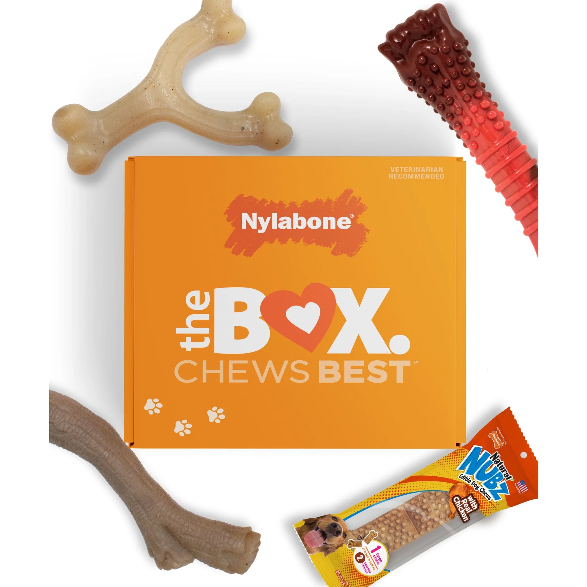 the Box - Chew Toys & Treat Dog Gift Box Variety Large (4 Count)
