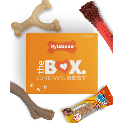 the Box - Chew Toys & Treat Dog Gift Box Variety Large (4 Count)