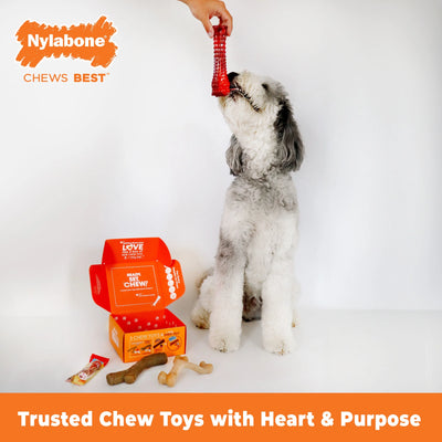 the Box - Chew Toys & Treat Dog Gift Box Variety Large (4 Count)