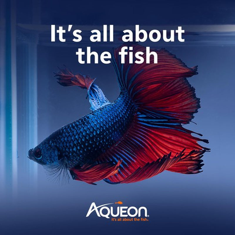 Aqueon PURE Betta Beads 12Oz Aquarium Enrichment for Betta Fish Care