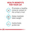 Royal Canin Feline Urinary Care Adult Wet Cat Food 3 Ounce Pack of 6