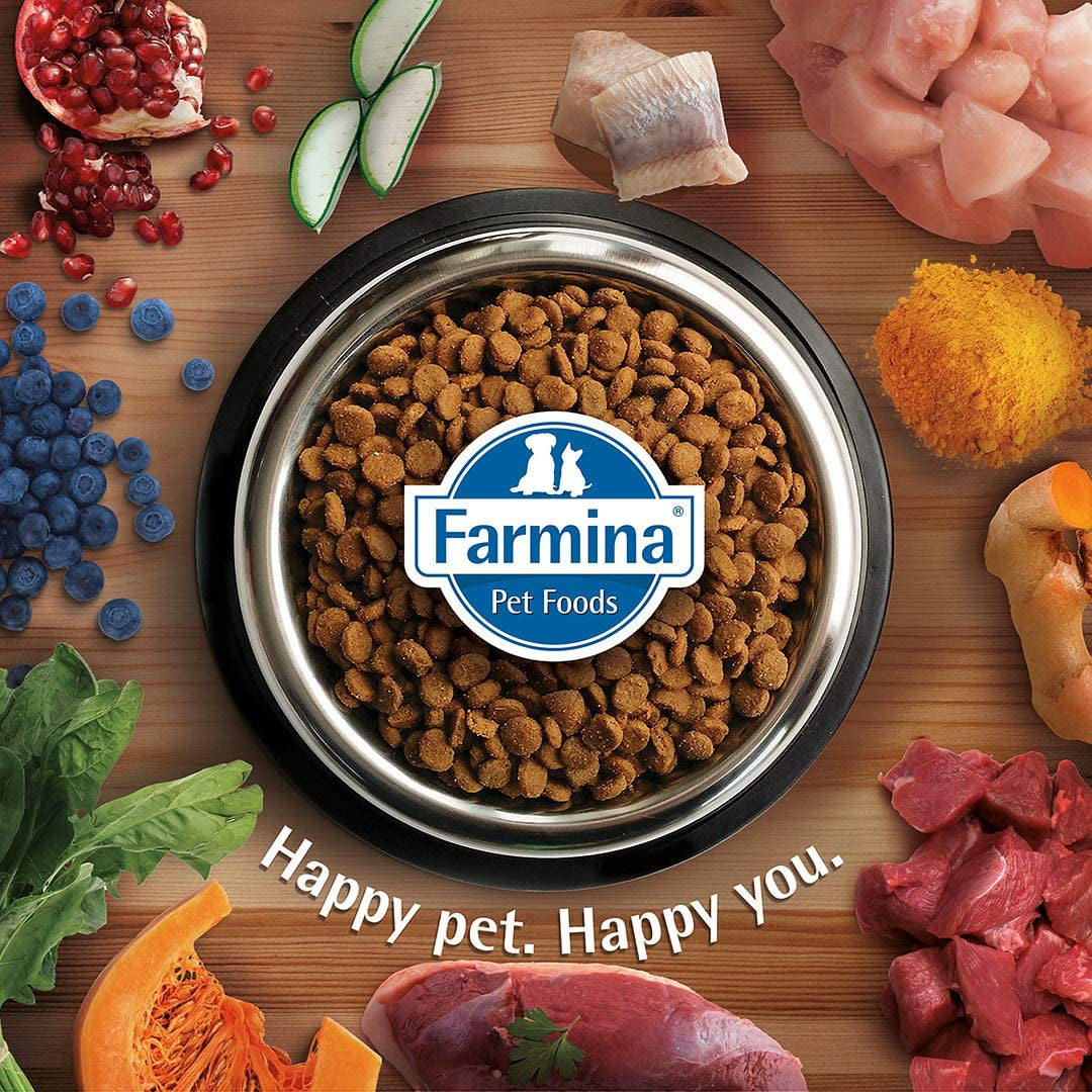 Farmina N&D, Quinoa Digestion Lamb Quinoa Fennel and Mint Recipe Dry Cat Food, 3
