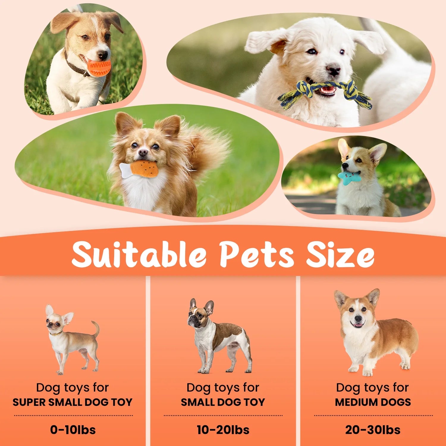 Dog Toys for Small Dogs ,10 Pack Puppy Chew Toys for Teething and Training with Plush Squeaky Toys, Treat Ball and Rope Toys to Keep Them Busy，White Dog