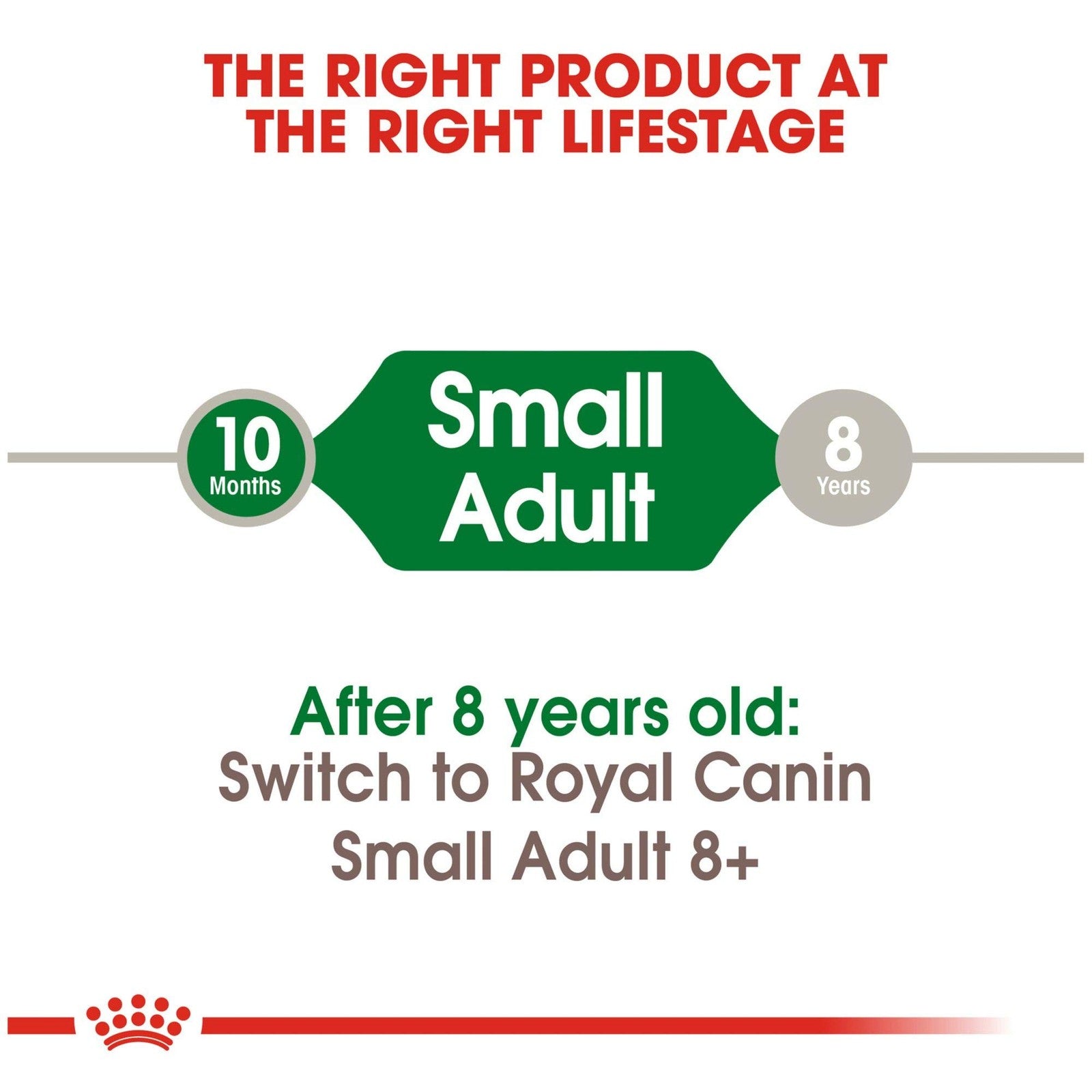Royal Canin Small Breed Adult Dry Dog Food, 2.5 Pounds. Bag