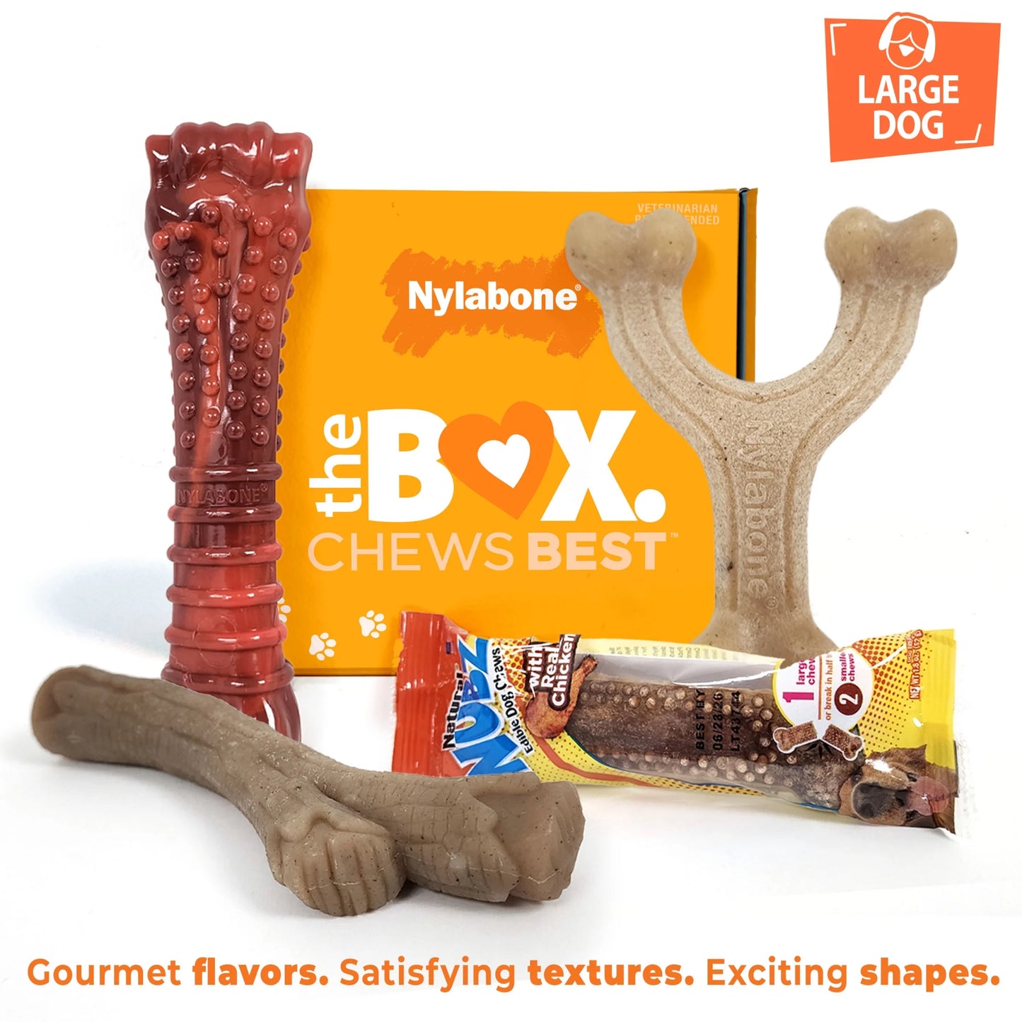 the Box - Chew Toys & Treat Dog Gift Box Variety Large (4 Count)