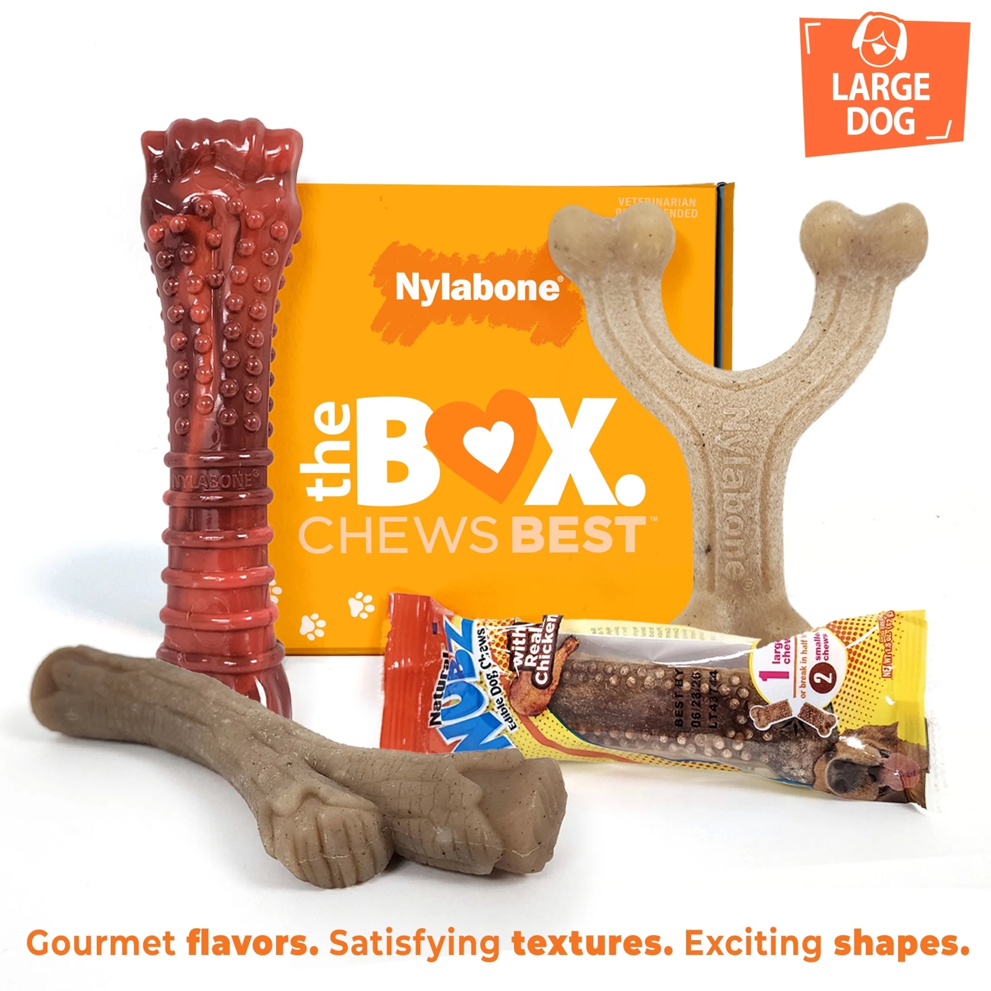 the Box - Chew Toys & Treat Dog Gift Box Variety Large (4 Count)