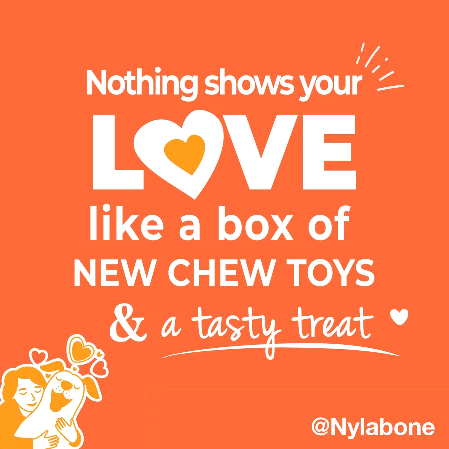 the Box - Chew Toys & Treat Dog Gift Box Variety Large (4 Count)