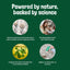 Pet Stain & Odor Miracle - Enzyme Cleaner for Dog Urine & Cat Pee - Pet Odor & Stain Remover Spray for Carpet, Mattress, Furniture - Carpet Cleaner (32 Fl Oz, Spring Mint Scent)