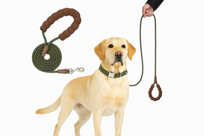 Durable Rope Dog Leash