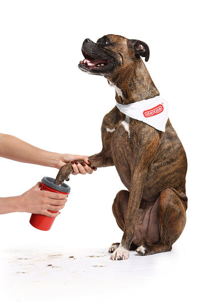 Mudbuster® Pet Paw Washer for Dogs - Soft Rubber Bristles Inside