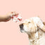 Soft Silicone Pet Brush