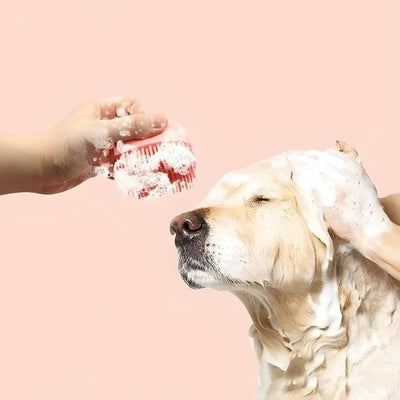 Soft Silicone Pet Brush