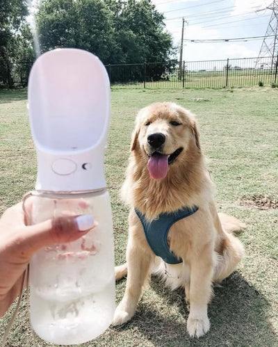 Portable Pet Water Bottle