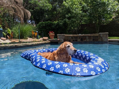 Portable Dog Pool Float