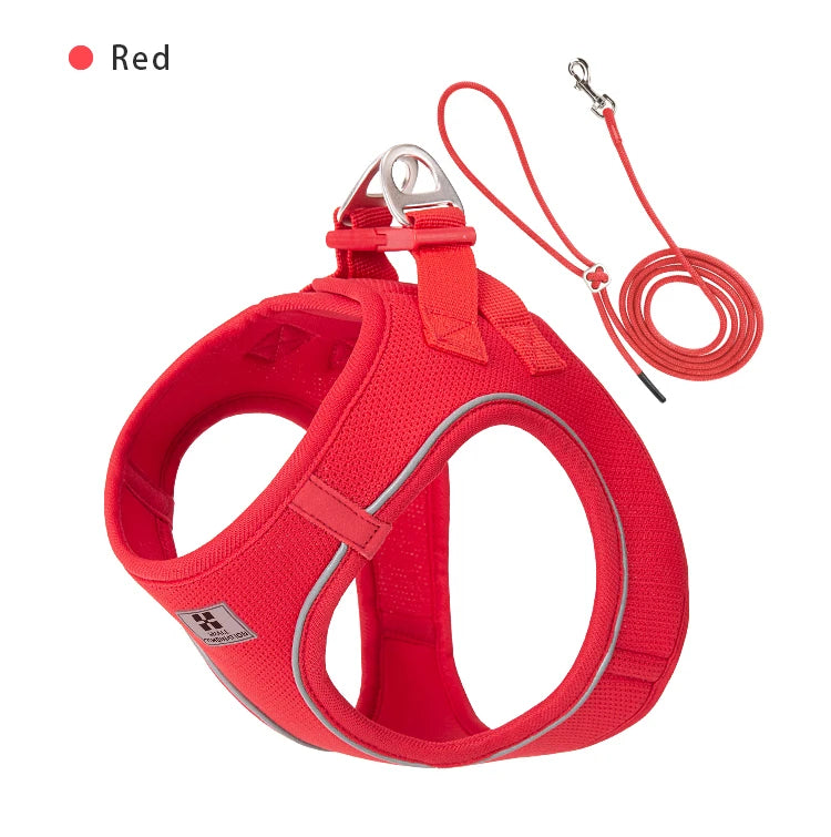 2-In-1 Harness & Leash Set