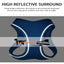 2-In-1 Harness & Leash Set