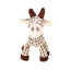 Plush Squeaky Dog Toy
