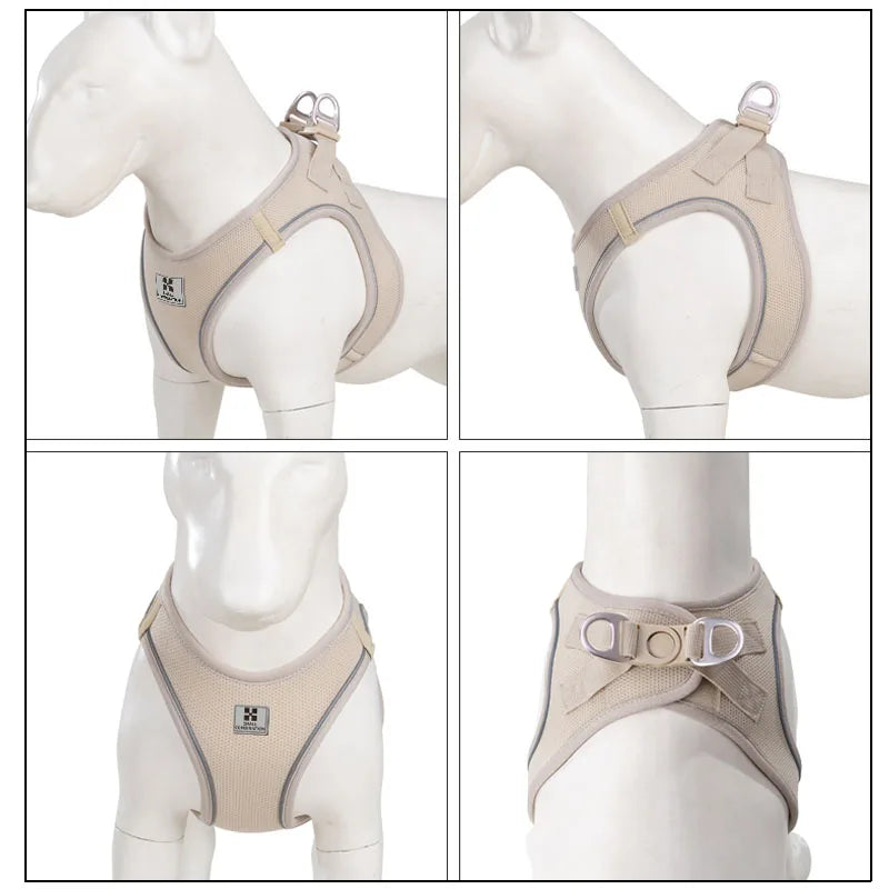 2-In-1 Harness & Leash Set