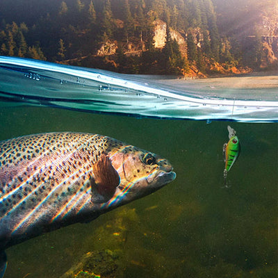 Fishing Lures Advent Calendar