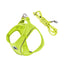 2-In-1 Harness & Leash Set