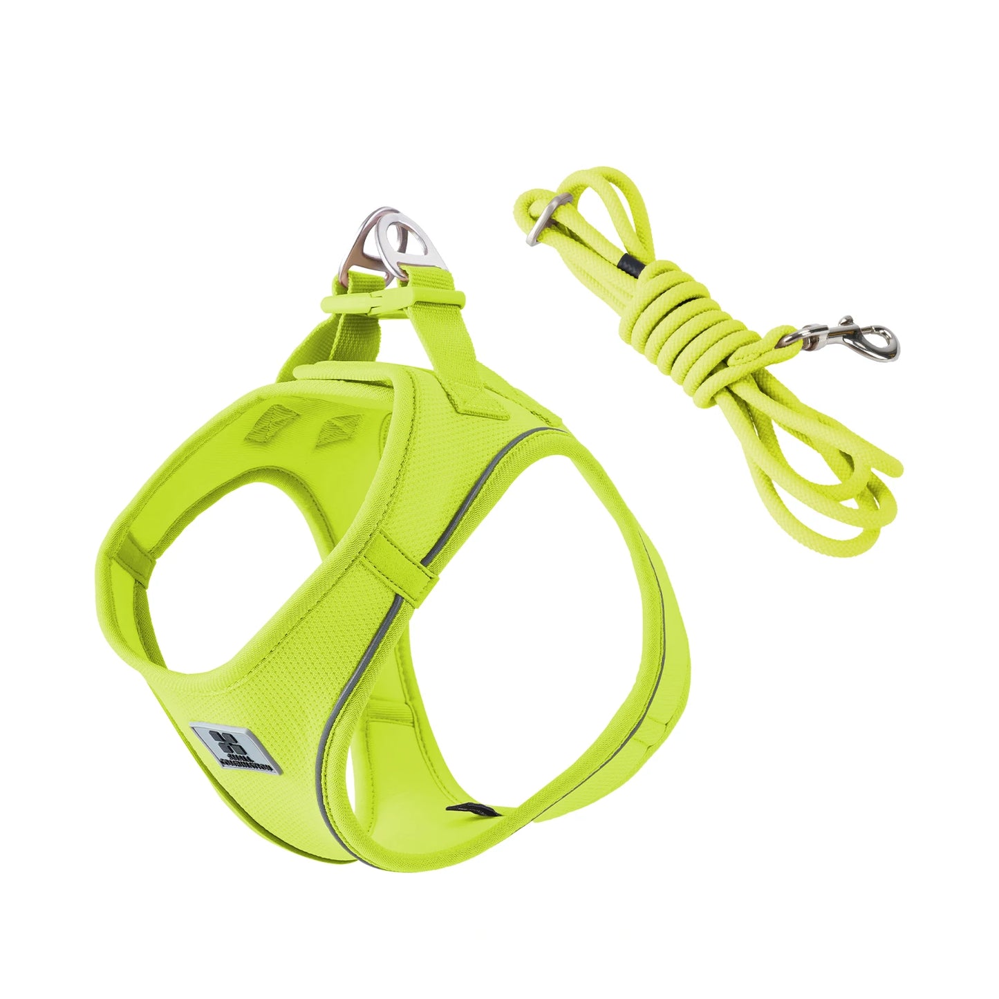 2-In-1 Harness & Leash Set