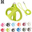 2-In-1 Harness & Leash Set