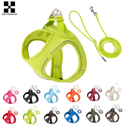 2-In-1 Harness & Leash Set
