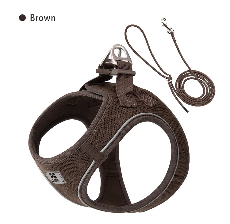 2-In-1 Harness & Leash Set