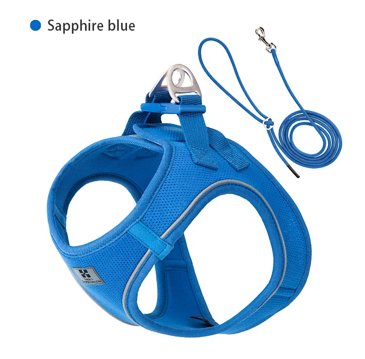 2-In-1 Harness & Leash Set