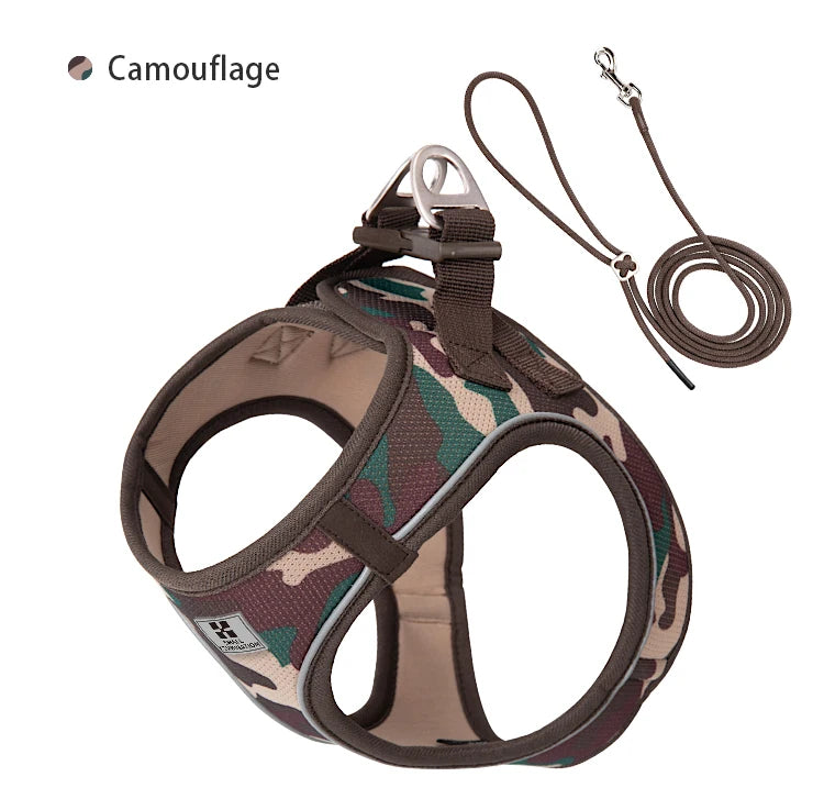 2-In-1 Harness & Leash Set