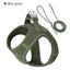 2-In-1 Harness & Leash Set