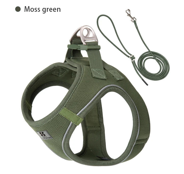 2-In-1 Harness & Leash Set