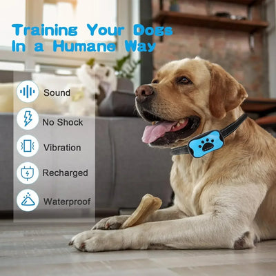 Rechargeable Anti Bark Collar