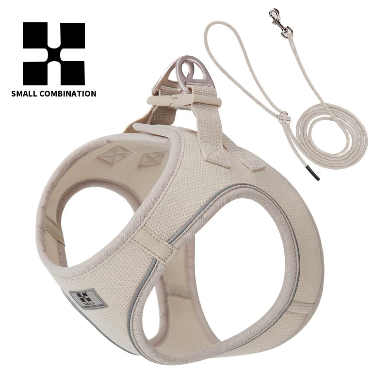 2-In-1 Harness & Leash Set